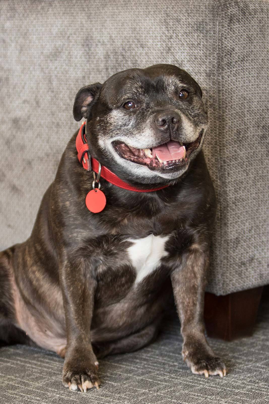 Best Upholstery Company Christchurch, Banks Peninsula, Rangiora